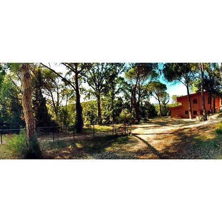 Agriturismo Poggio Al Pino Montelupo Fiorentino Exterior photo